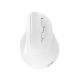 Mouse Inalambrico Vertical Acteck AC-936231 Virtuos Fitt MI520, 2400DPI/7 Botones/USB-A/Ergonomico/Optico, Color Blanco