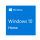 Windows 10 Home  + $2,900.00 