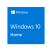 Windows 10 Home +$2,900.00