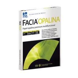 Pqte. 100 hojas cartulina opalina t/carta blanco 225GR