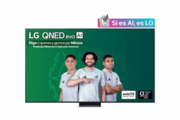 Smart TV LG 100" QNED EVO AI QNED86 4K UHD Negro